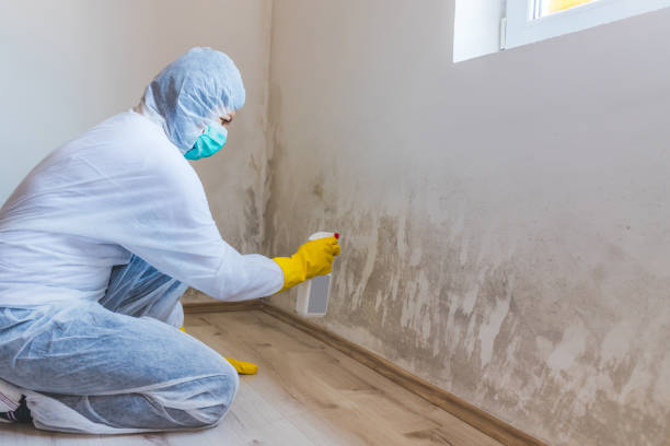 Licensed Crawl Space Mold Removal service in Flagtown, NJ - WQB Mold Removal