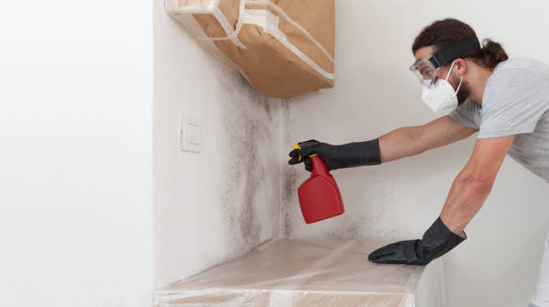 Professional Crawl Space Mold Removal technician working in Flagtown, NJ