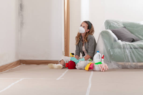 Reliable Crawl Space Mold Removal contractor in Flagtown, NJ by WQB Mold Removal
