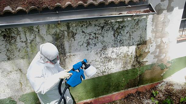Top rated local Crawl Space Mold Removal specialists in Flagtown, NJ